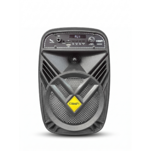 Carsh BEST SOUND Professional stega Speaker X6200