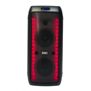 Crash Party 8060 Professional Speaker